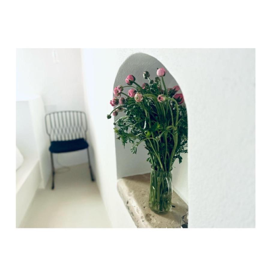 Hydria Guest House Art Gallery อัคควาวิวา เดลเล ฟอนติ ภายนอก รูปภาพ