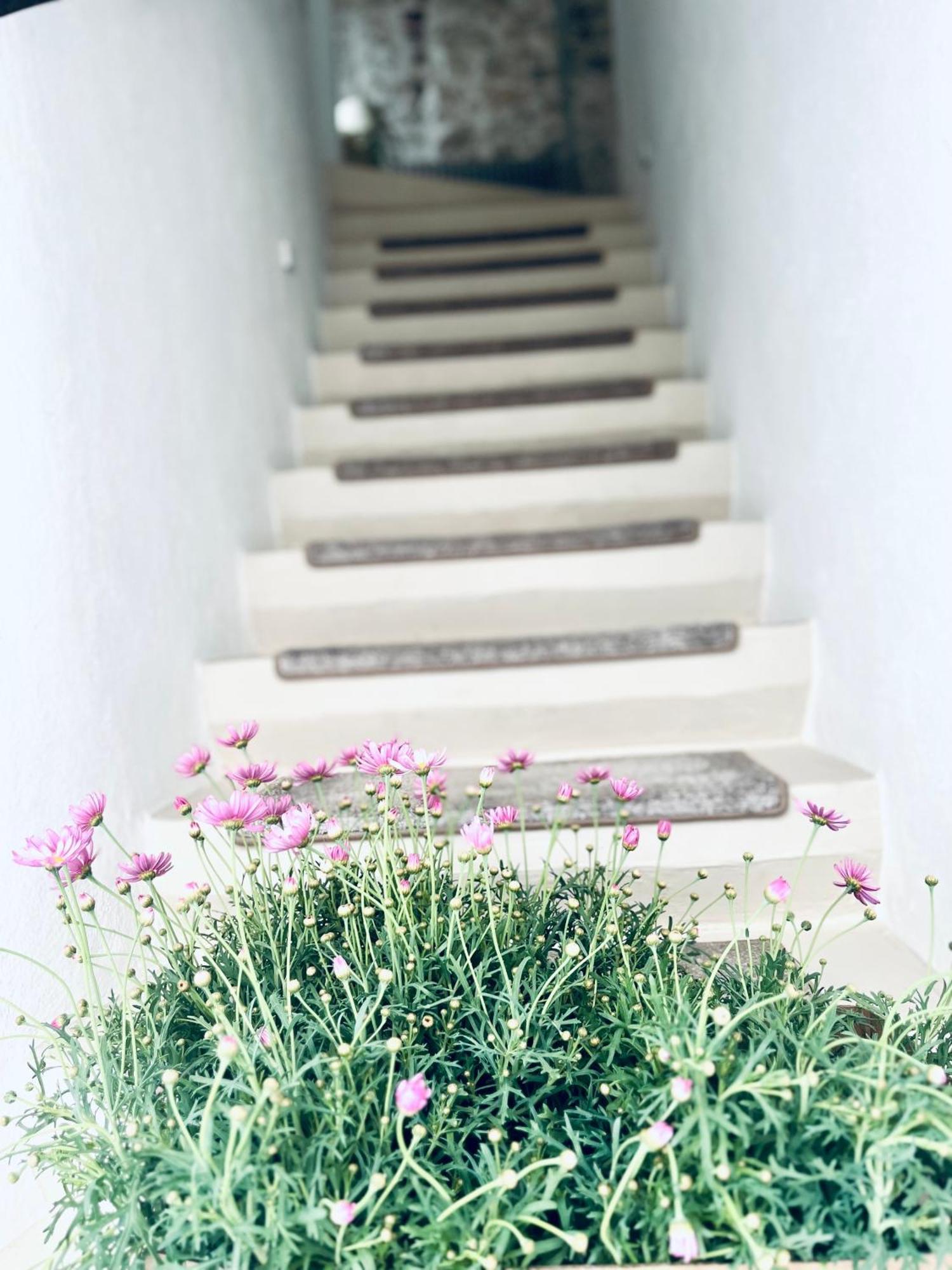 Hydria Guest House Art Gallery อัคควาวิวา เดลเล ฟอนติ ภายนอก รูปภาพ